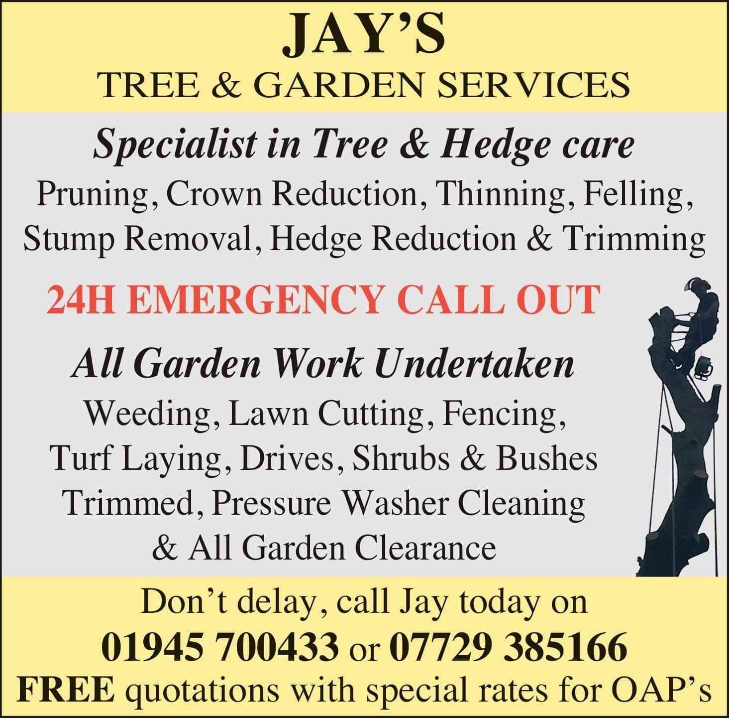 services-06 618632329 122093631375241204 6488467645203267589 N